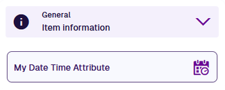 A Date Time attribute field