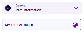 A Time attribute field