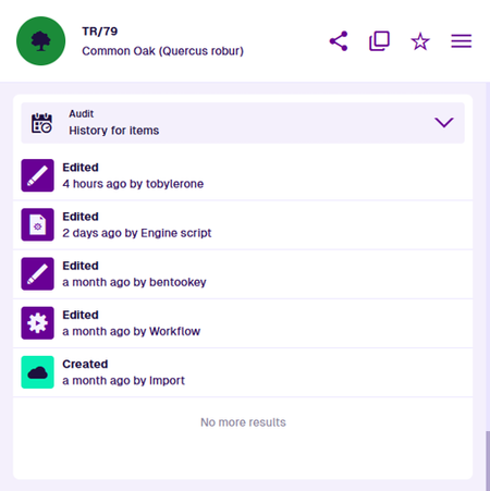 An Audit section displaying the data of an example item