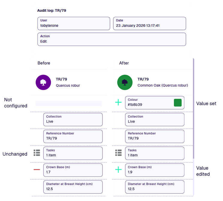 A side-by-side comparison of attribute values before and after a selected audit event