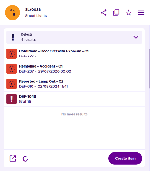 The Defects section of an example item