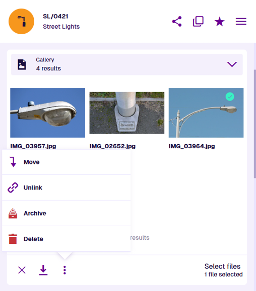 Files selected in the Gallery section, with the selection menu open