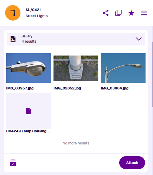 The Gallery section of an example item