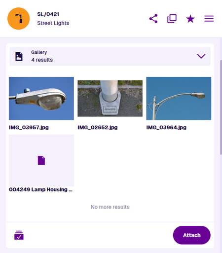 A Gallery section displaying the data of an example item