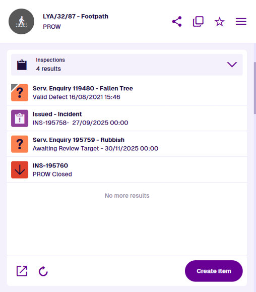 The Inspections section of an example item