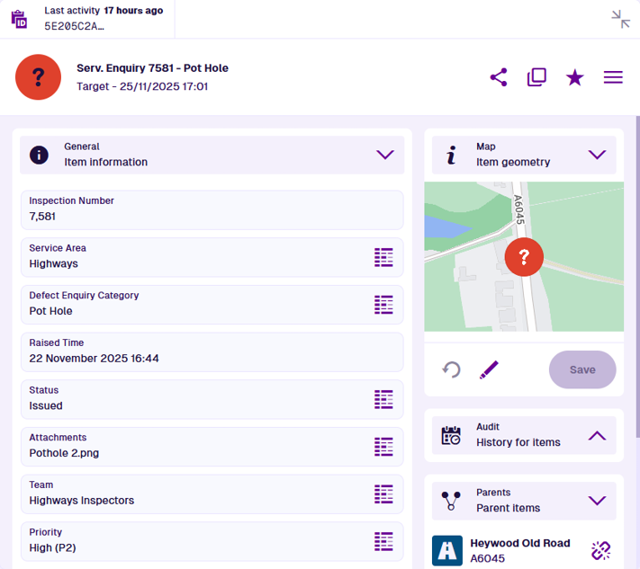 The item canvas of an example item, displaying various canvas sections