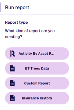 The available report types that can be run on an example item