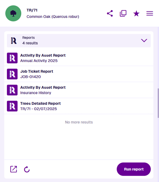 The Reports section of an example item