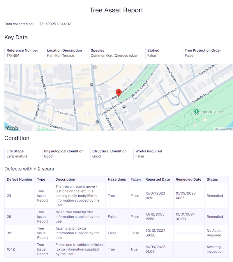 An example report item generated from a report