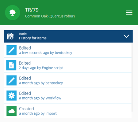 An example Audit section listing several events of different types