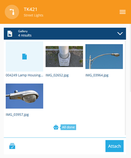 The Gallery section of an example item