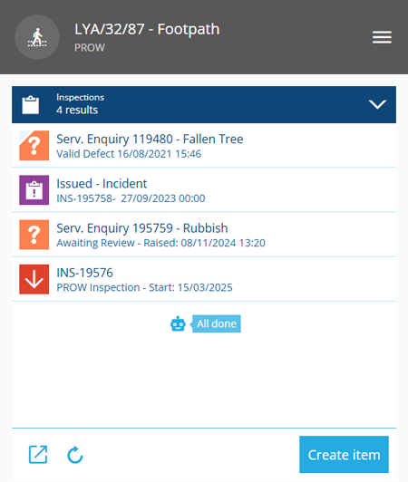 The Inspections section of an example item