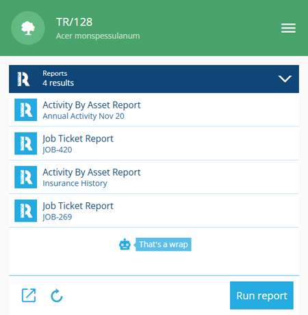 The Reports section of an example item
